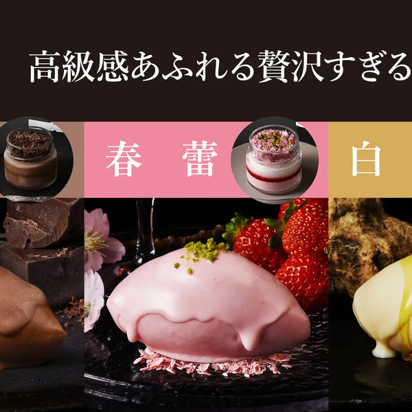 7月20日まで】Cellatoが紀ノ国屋インターナショナル（青山店）に登場